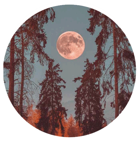 Celebración de luna llena