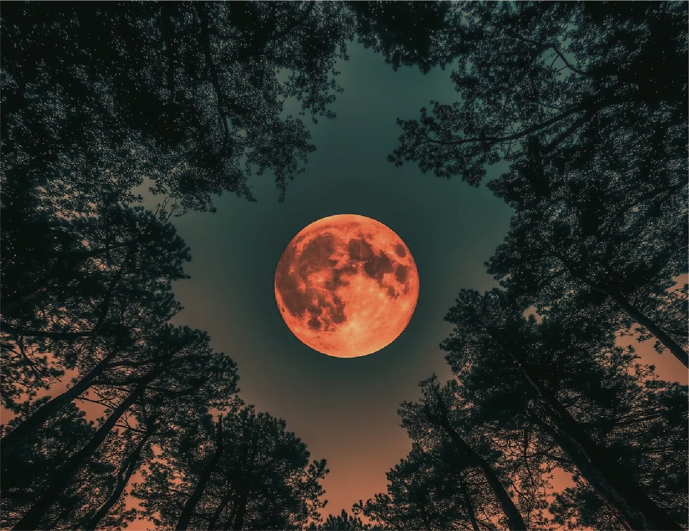 Celebración Luna Llena